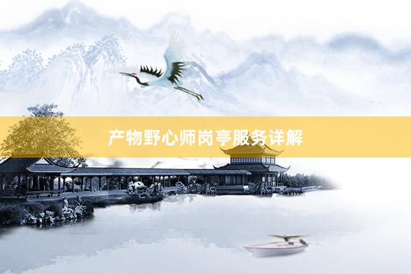 产物野心师岗亭服务详解